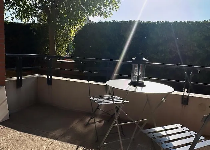 Rose T3 Parking Prive Apartment Toulouse