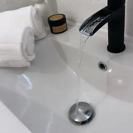 Rose T3 Parking Prive Toulouse